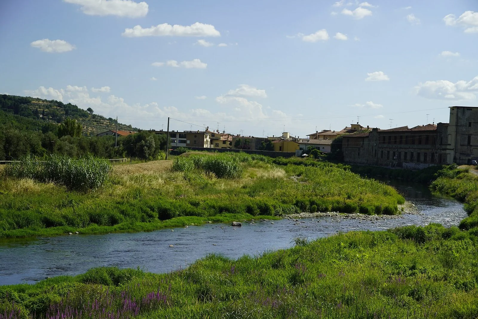 Il fiume Bisenzio che attraversa Prato, con la vegetazione sulle rive